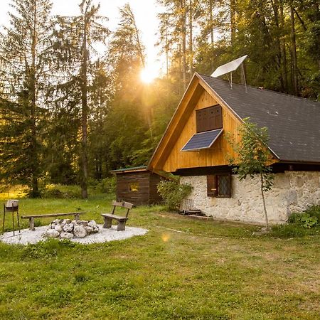 Marko'S Eco Cabin Bled Bagian luar foto