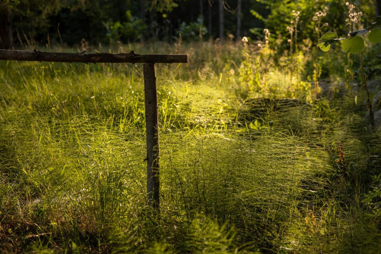 Marko'S Eco Cabin Bled Bagian luar foto